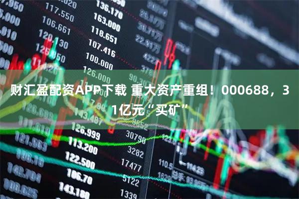 财汇盈配资APP下载 重大资产重组！000688，31亿元“买矿”
